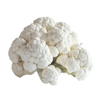 a bunch of white caulia on a white background