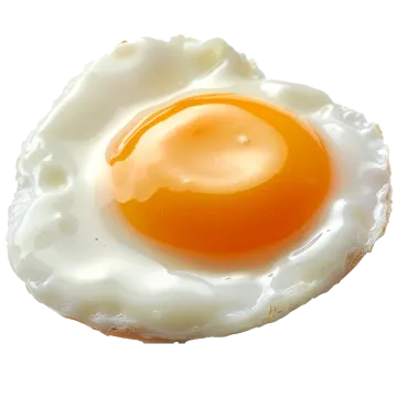 an egg on a white background