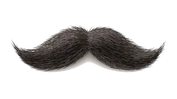 a black mustache on a white background
