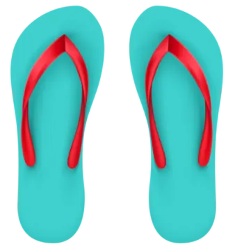a pair of flip flops on a white background