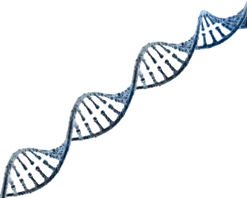 a blue and white dna strip on a white background