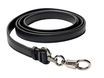 a black leather dog leash with a metal hook