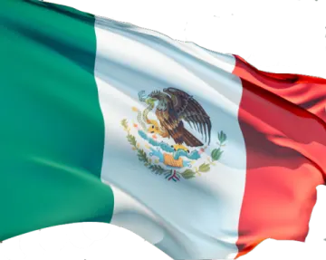 a mexican flag flying in the wind