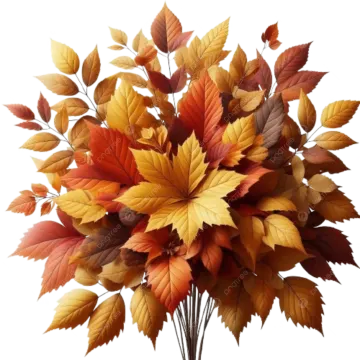 a bouquet of autumn leaves on a white background
