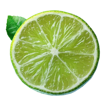 a slice of lime on a white background