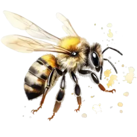 a bee on a white background