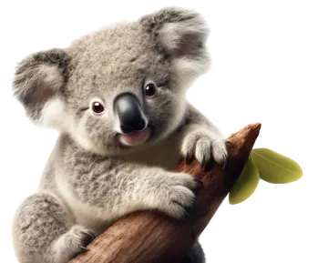 a baby koala is sitting on a tree branch