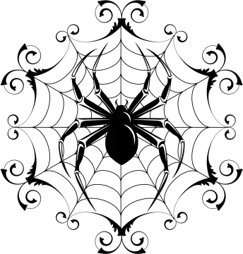 a black and white spider in the center of a web