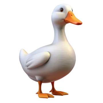 a white duck with orange feet