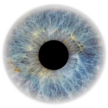 a close up view of an eye