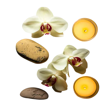 a candle and some rocks on a white background