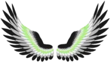 a black and white wing with green accents
