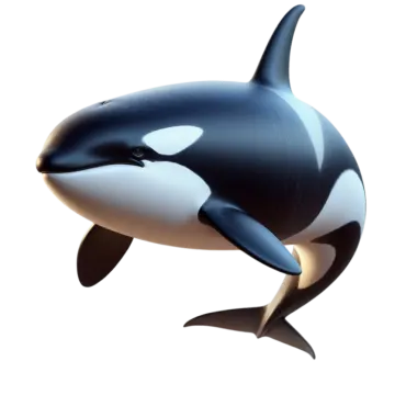an orca in the air with a white background