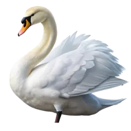 a white swan with its wings spread out