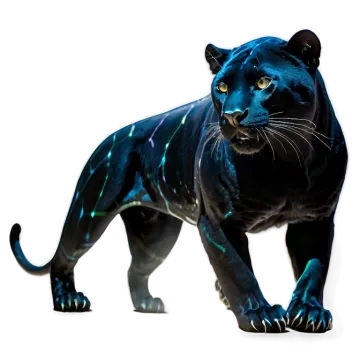 a black panther standing on a white surface