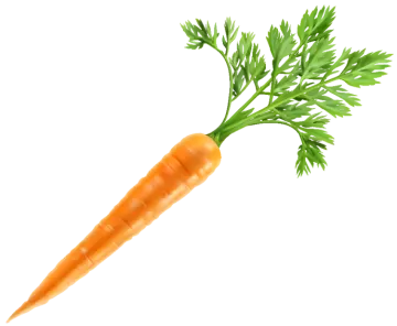 a carrot with green leaves on it