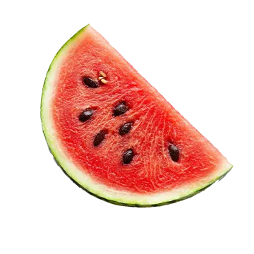 a slice of watermelon on a white background