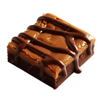 a piece of brownie with chocolate on top