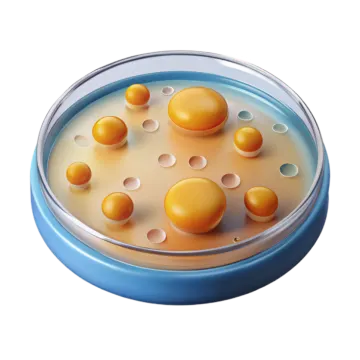 an egg in a bowl of eggs