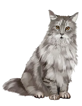 a gray cat sitting down on the floor