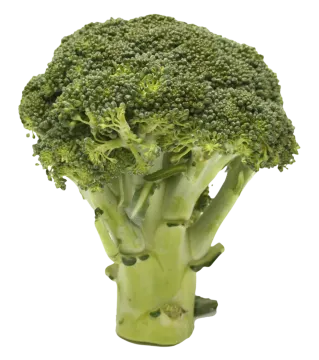 a close up of a head of broccote