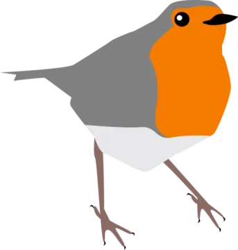 a bird with orange and gray feathers