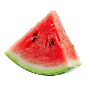 a slice of watermel on a white background