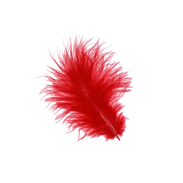 a red feather on a white background