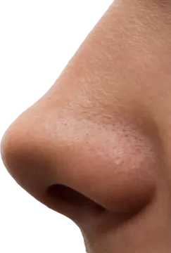 a close up view of a nose