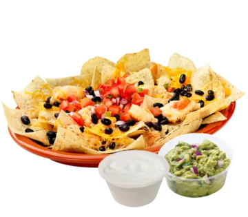a plate filled with chips and a bowl of salsa
