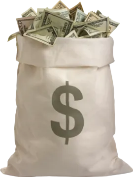 a bag full of money