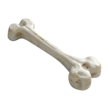 a bone bone on a white background