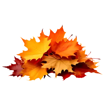 a pile of autumn leaves on a white background
