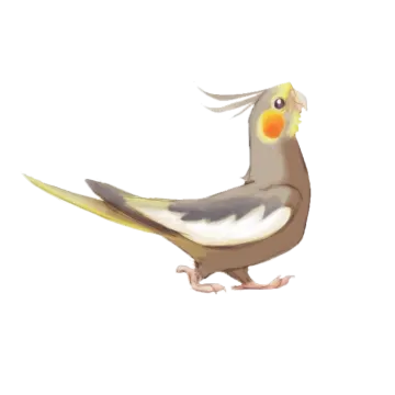 an illustration of a bird on a white background
