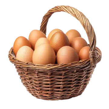 a basket full of eggs