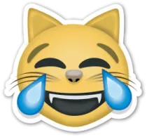 a cat with tears on its face