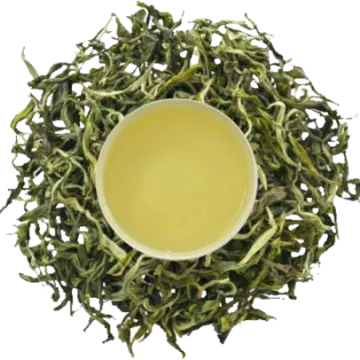 a cup of green tea on a white background