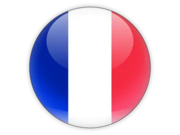 the french flag on a button