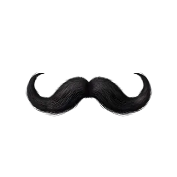 a black mustache on a white background