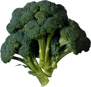 a close up of a head of broccote