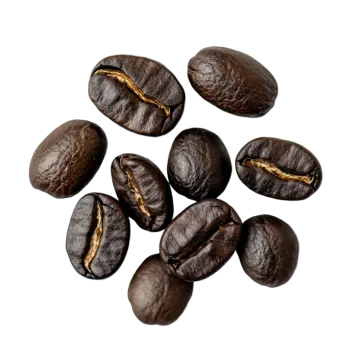 coffee beans on a white background