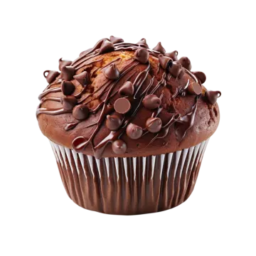 a chocolate cupcake with chocolate chips on top