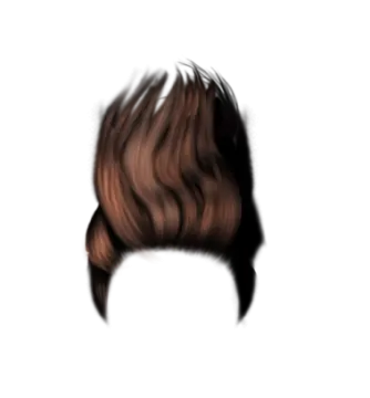 a drawing of a woman's hair
