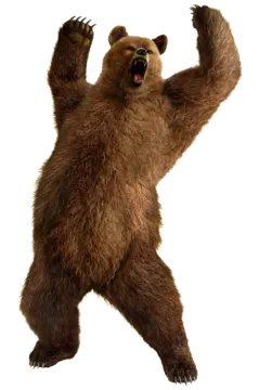 3d digital illustration of a brown bear isolated on white background