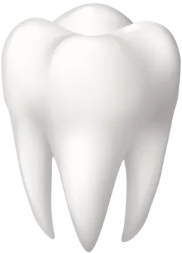 a tooth on a white background