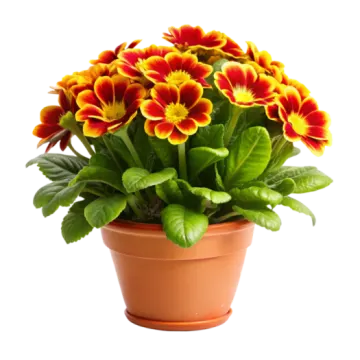 a small pot filled with yellow and red flowers