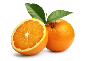 two oranges with leaves on a white background