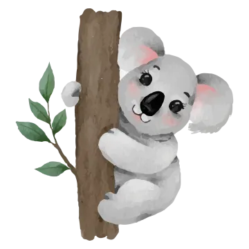 a koloa sitting on top of a tree branch