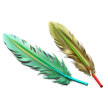 two colorful feathers on a white background