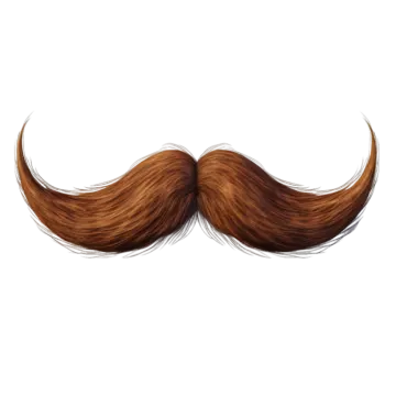 a drawing of a mustache on a white background